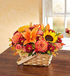 Fields of Europe for Fall Basket Flower Power, Florist Davenport FL